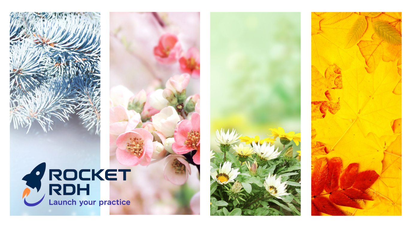 Rocket RDH business ownership seasons resource for independent registered dental hygienists